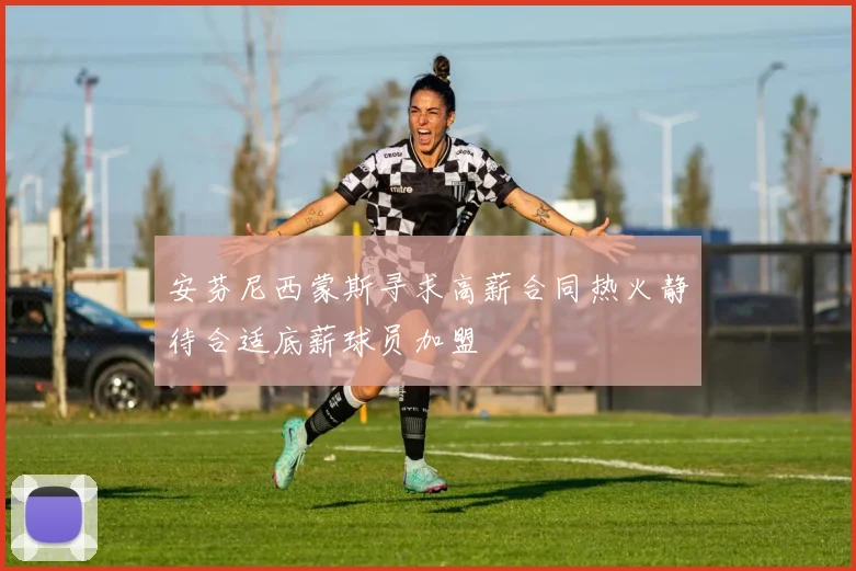 安芬尼西蒙斯寻求高薪合同热火静待合适底薪球员加盟